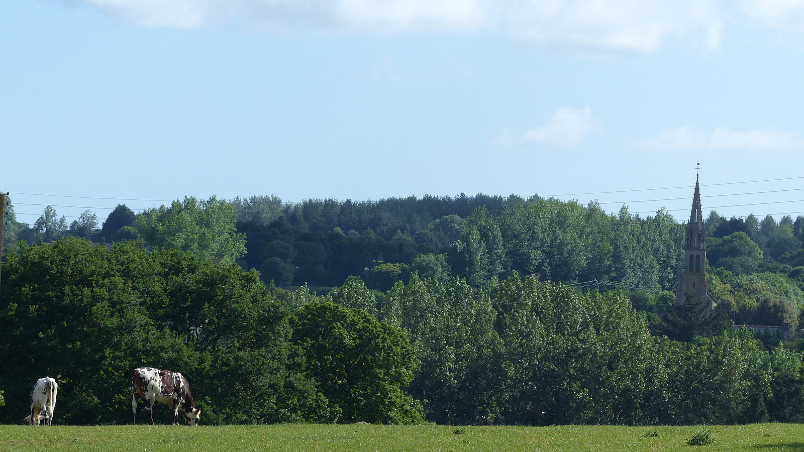 Relax in the countryside